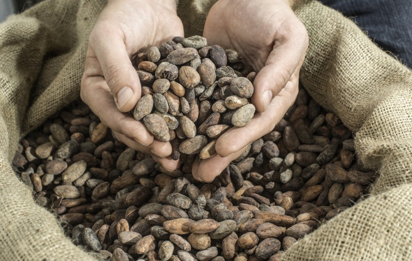 What's So Different About Your Chocolate