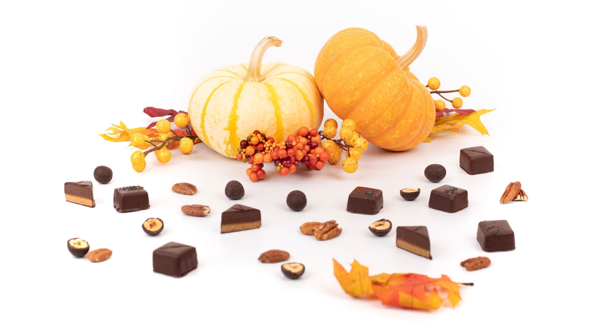 an array of pumpkins, berries, fall leaves and Creo Chocolate truffles