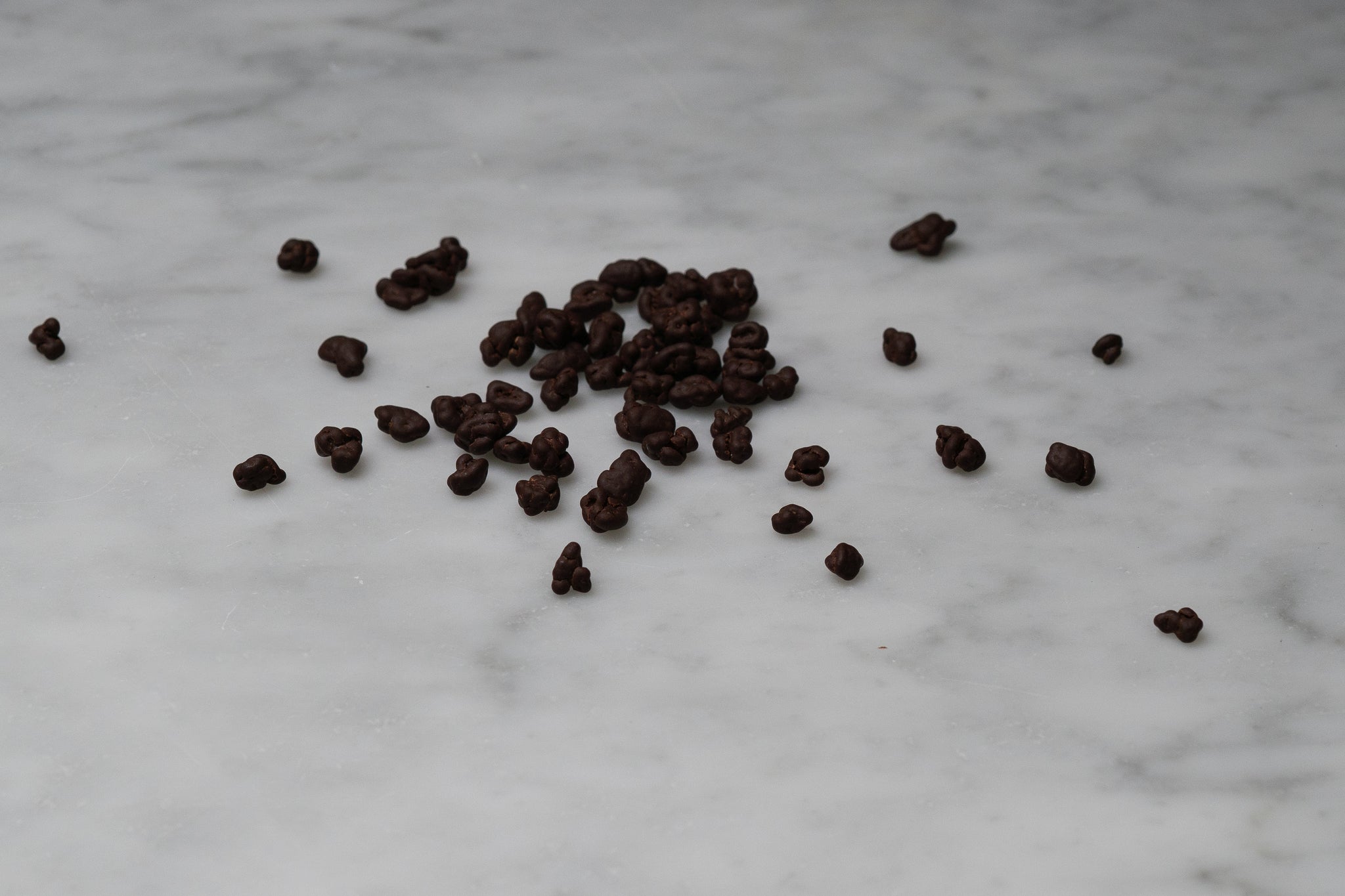 Chocolate Covered Cacao Nibs