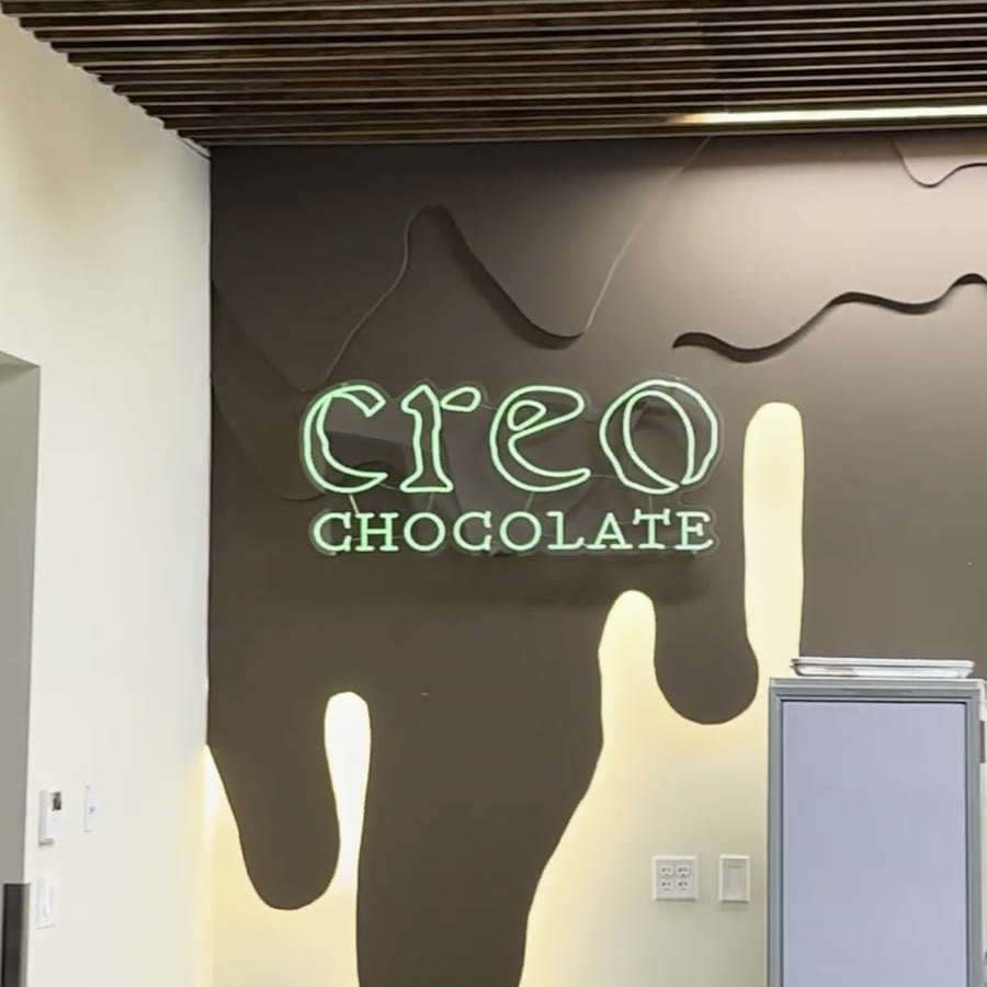 Chocolate Lab